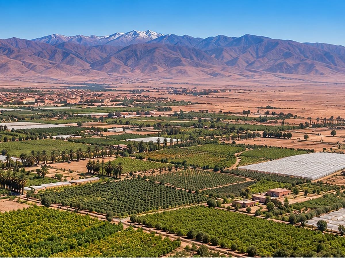 Vue aérienne de vergers, serres et parcelles maraîchères au pied de l'Atlas