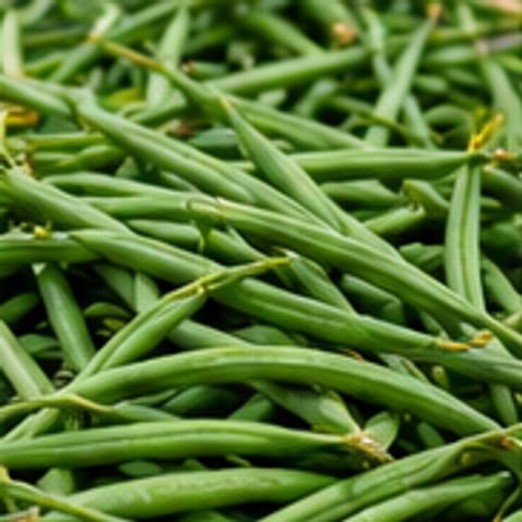 Haricots verts